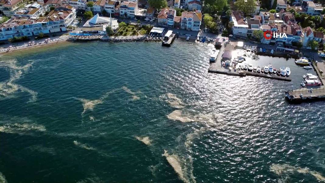 Kabus geri döndü: Bir anda beyaz tabakayla kaplandı! Çevre kirliliği had safhada 3
